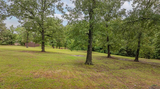 0000 Bull Run Trl, Longview, TX 75604 - photo 8