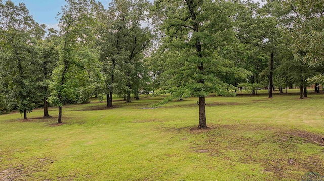 0000 Bull Run Trl, Longview, TX 75604 - photo 6