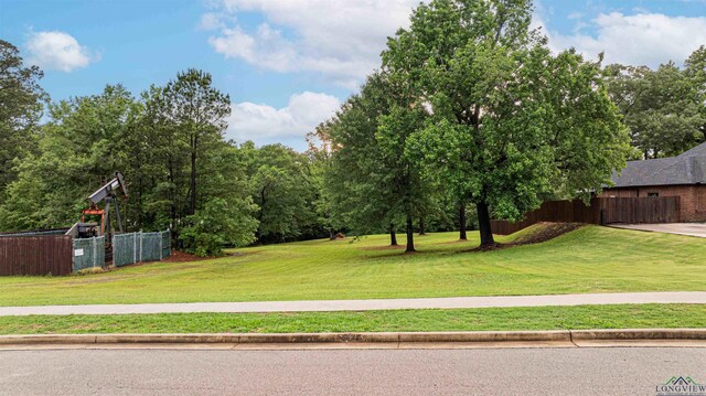 0000 Bull Run Trl, Longview, TX 75604 - photo 5