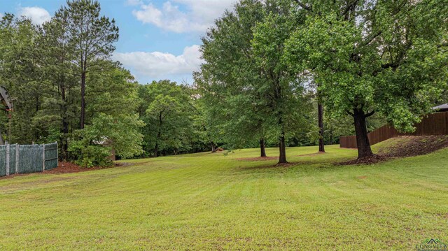 0000 Bull Run Trl, Longview, TX 75604 - photo 4