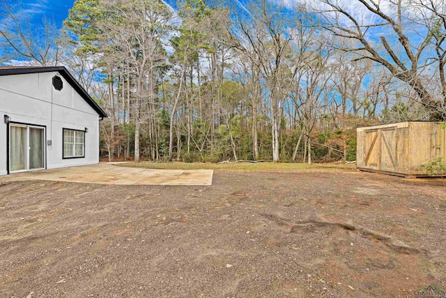 view of yard featuring a patio area