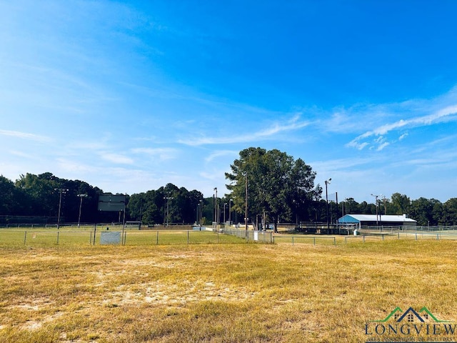 view of yard with a rural view