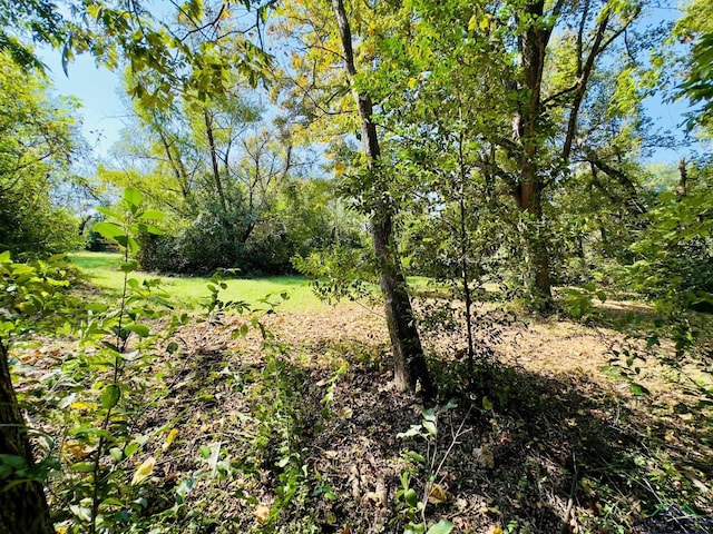 view of landscape