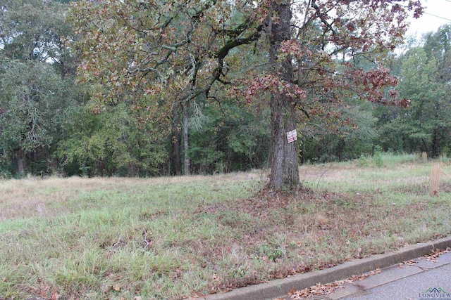 Listing photo 2 for 0000 Woodview Ln, Kilgore TX 75662