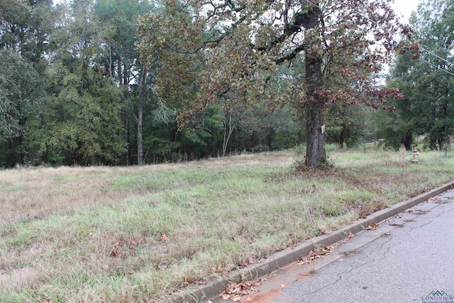 Listing photo 3 for 0000 Woodview Ln, Kilgore TX 75662