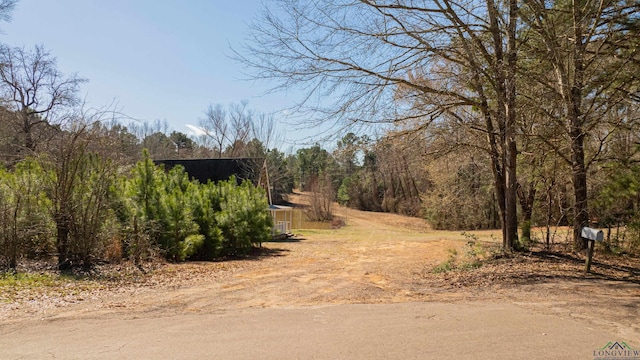 view of yard with a forest view