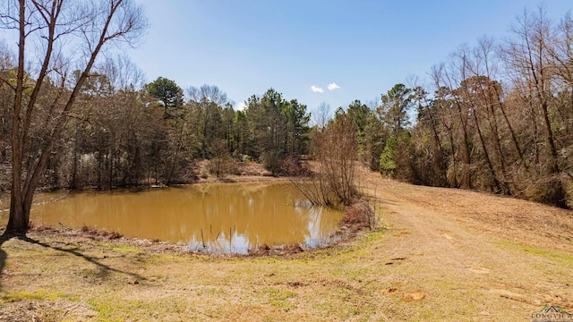 property view of water with a wooded view