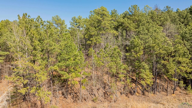 view of local wilderness featuring a forest view