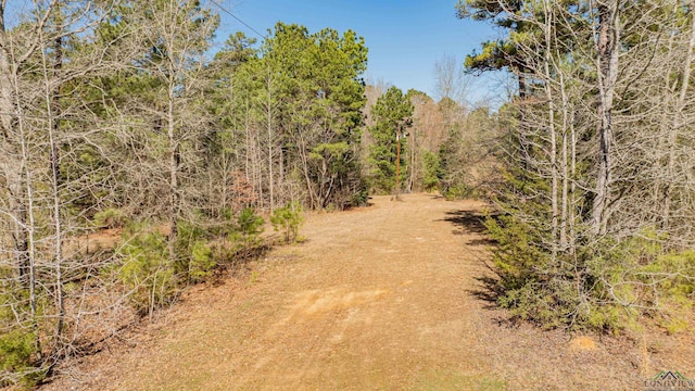 view of local wilderness