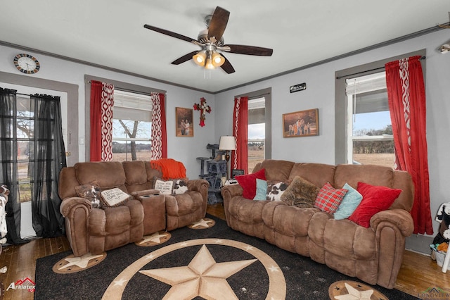 living room featuring crown molding, hardwood / wood-style flooring, and ceiling fan