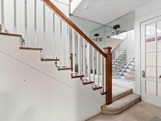 staircase featuring carpet