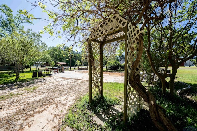 8880 Fm 729, Avinger, TX 75630 - view of yard