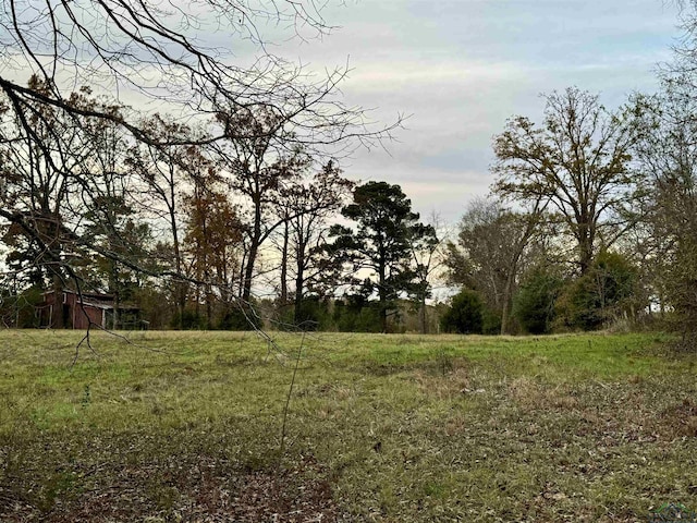 Listing photo 3 for 4663 Curtis Black Rd, Hallsville TX 75650