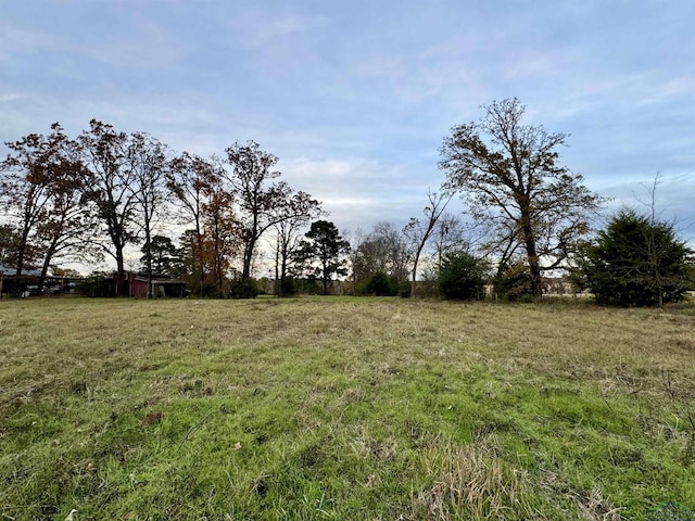 Listing photo 2 for 4663 Curtis Black Rd, Hallsville TX 75650