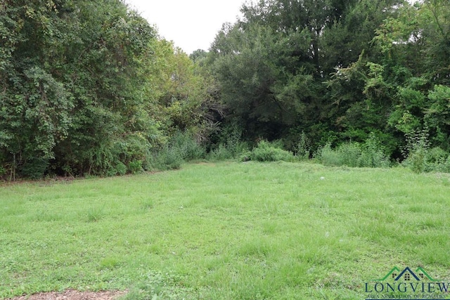 507 Pine Tree Rd, Longview, TX 75605 - photo 10