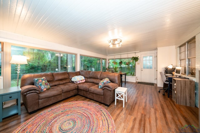 living room featuring hardwood / wood-style flooring and a wealth of natural light