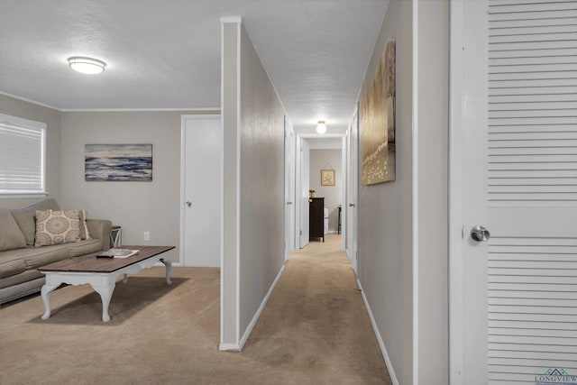 hallway with a textured ceiling, crown molding, and light carpet