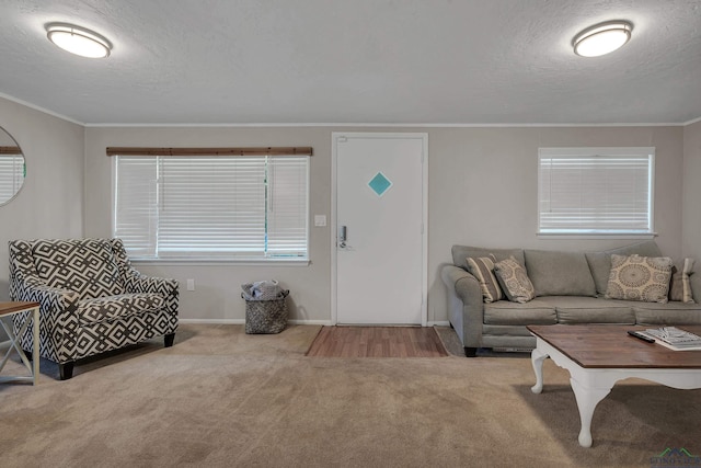 carpeted living room with a textured ceiling and crown molding