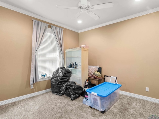 interior space featuring crown molding, carpet floors, and ceiling fan