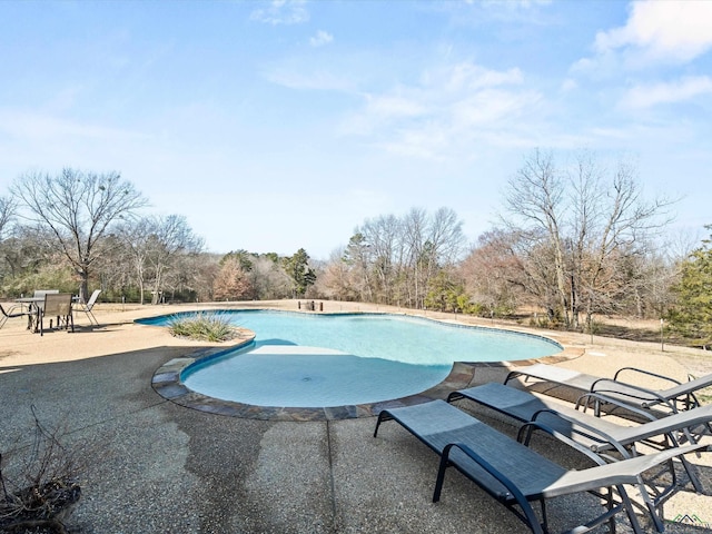 view of swimming pool featuring a patio area