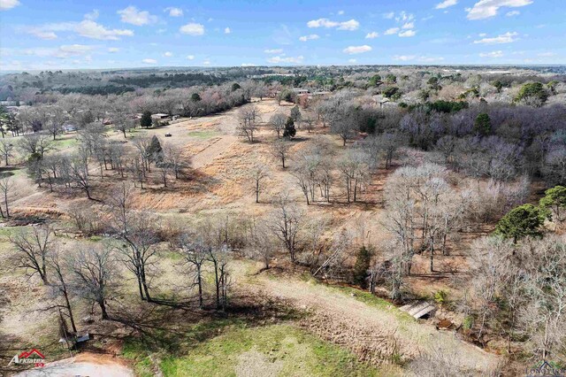 29.606ac Fordall, Henderson, TX 75652 - photo 9