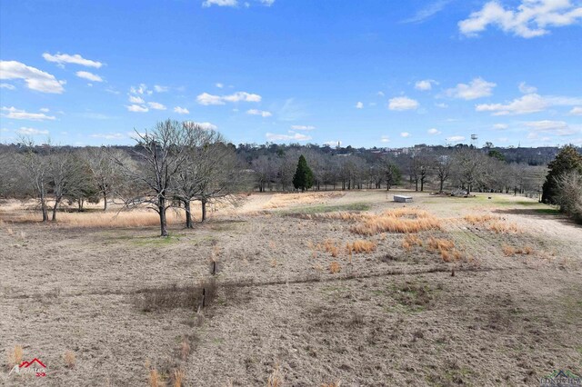 29.606ac Fordall, Henderson, TX 75652 - photo 4