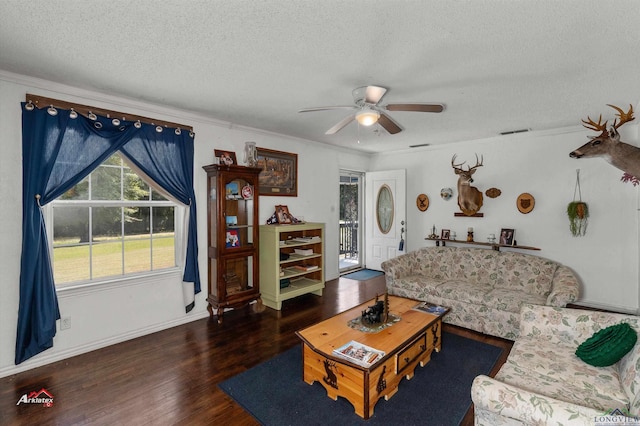 living room with dark hardwood / wood-style flooring, a textured ceiling, and crown molding