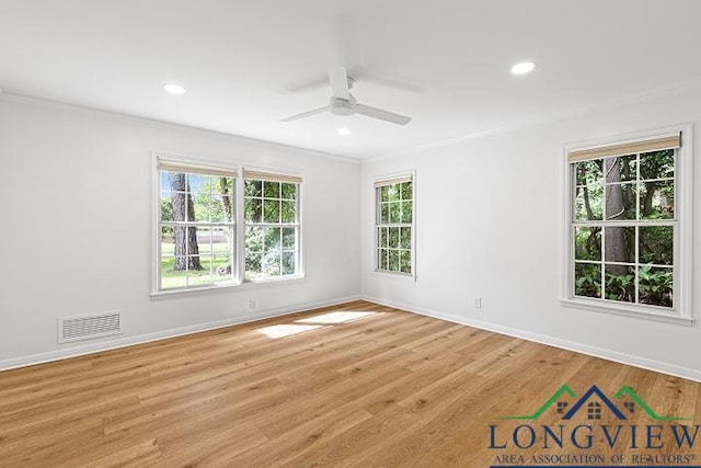 spare room with plenty of natural light, ceiling fan, and ornamental molding