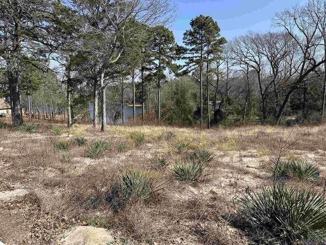 Listing photo 3 for TBD Pine Court, Big Sandy TX 75755