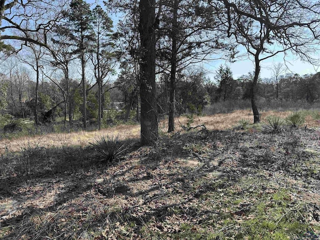 TBD Pine Court, Big Sandy TX, 75755 land for sale