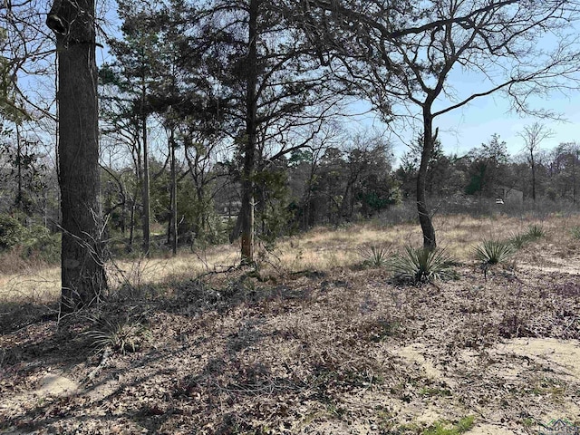 Listing photo 2 for TBD Pine Court, Big Sandy TX 75755