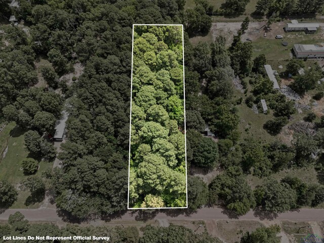 TBD Amos Rd, Longview, TX 75602 - photo 4
