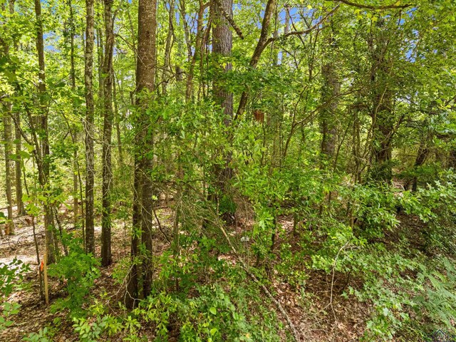 TBD Amos Rd, Longview, TX 75602 - photo 3