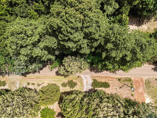 TBD Amos Rd, Longview, TX 75602 - photo 10