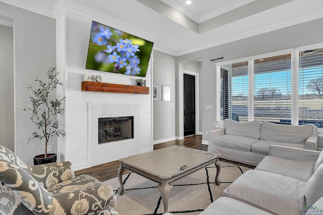 living room with wood-type flooring, ornamental molding, a fireplace, and a tray ceiling