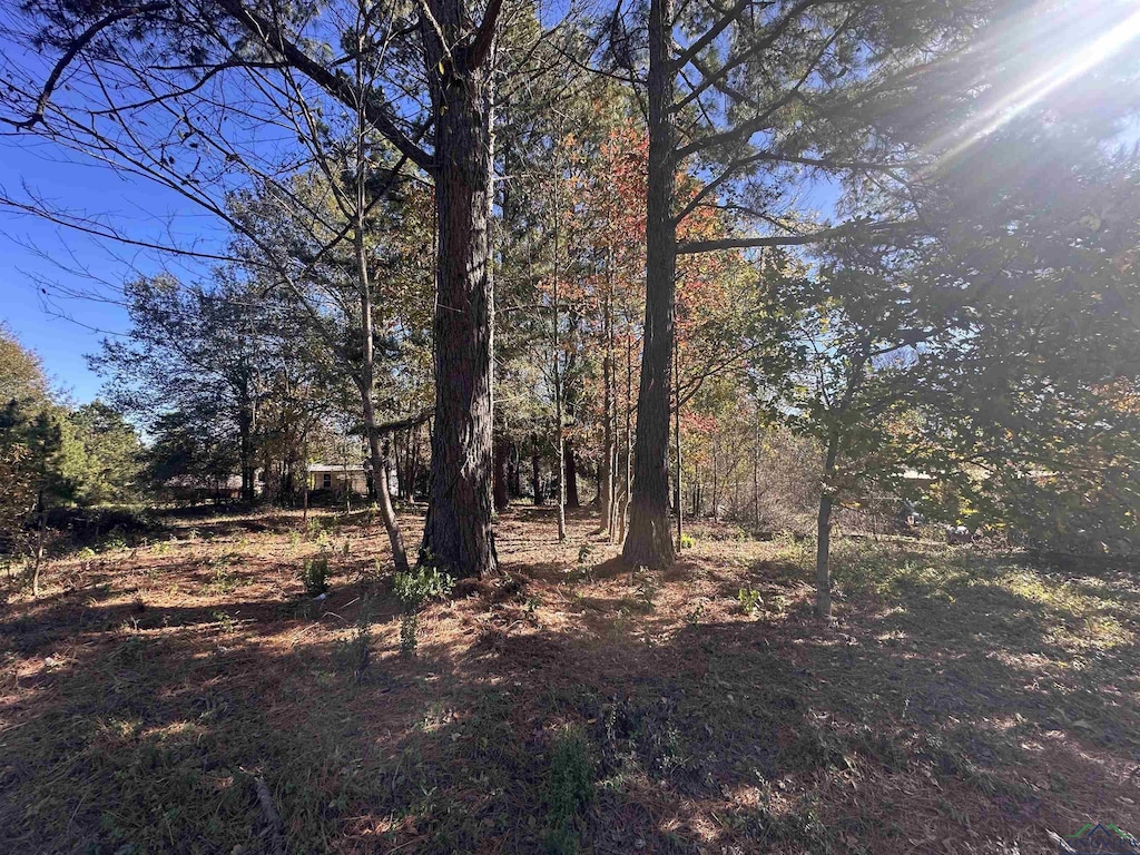 706 High St, Marshall, TX 75670 - photo 3