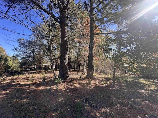 706 High St, Marshall, TX 75670 - photo 3