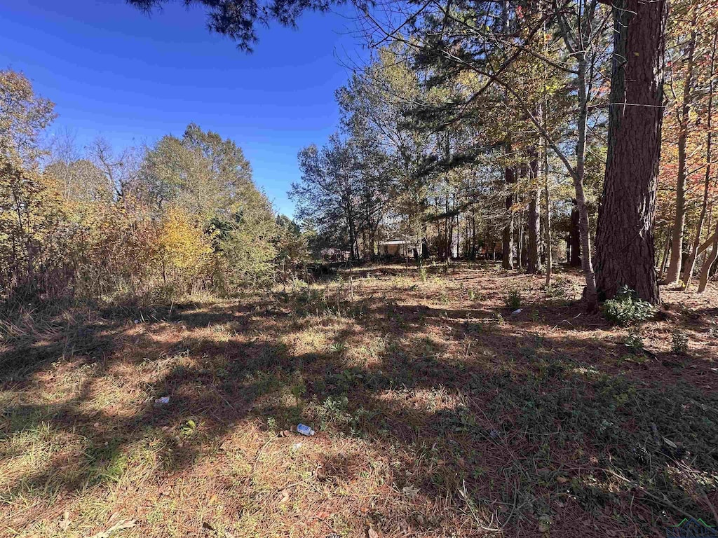 706 High St, Marshall, TX 75670 - photo 2