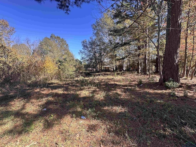 706 High St, Marshall, TX 75670 - photo 2