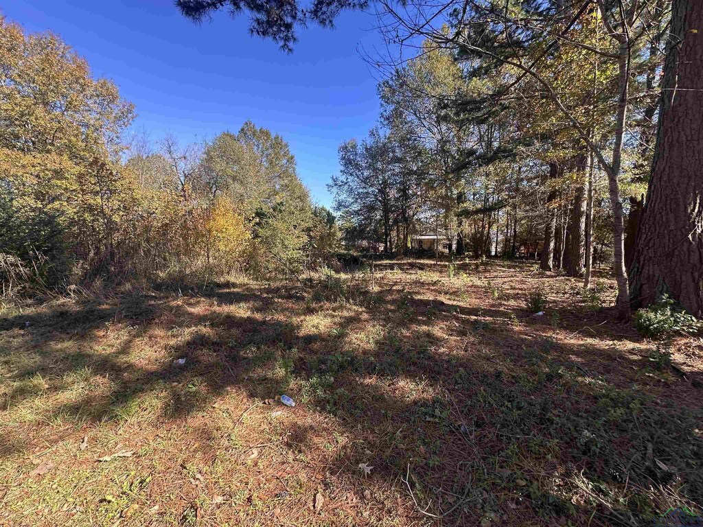 706 High St, Marshall, TX 75670 - photo 1