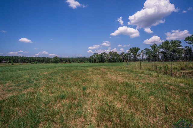 450 Chisholm Trl, Hallsville, TX 75650 - photo 28