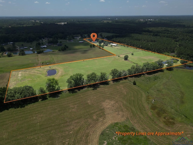 450 Chisholm Trl, Hallsville, TX 75650 - photo 33