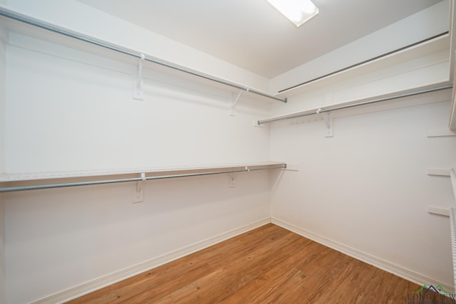 spacious closet featuring hardwood / wood-style floors