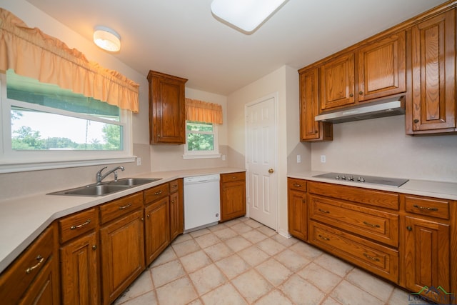 kitchen with dishwasher, electric stovetop, and sink