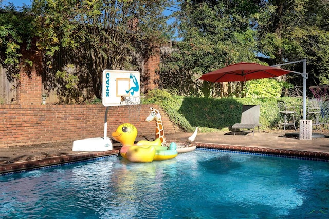 view of pool with a patio area