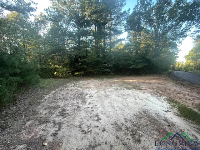 Listing photo 3 for TBD Aster Road, Gilmer TX 75644