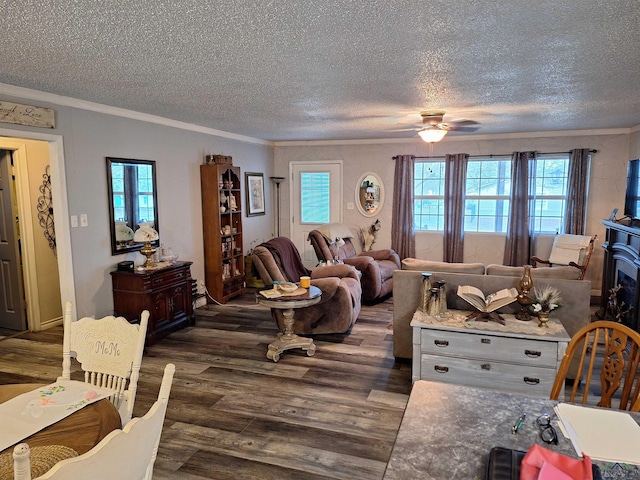 living room featuring ornamental molding, a healthy amount of sunlight, dark hardwood / wood-style floors, and a textured ceiling