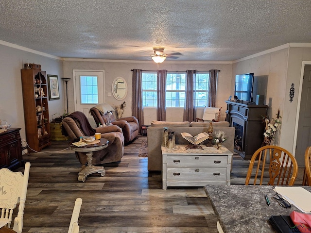 living room featuring crown molding, plenty of natural light, dark hardwood / wood-style floors, and a textured ceiling