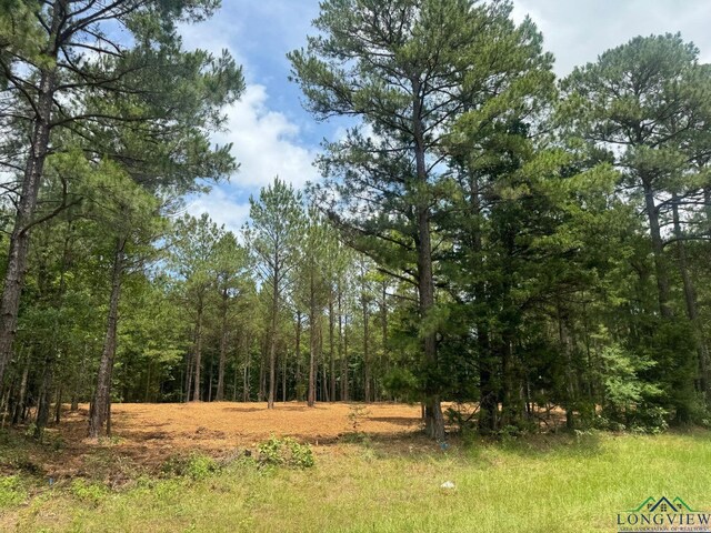 0003 Fm 805, Jefferson, TX 75657 - photo 6