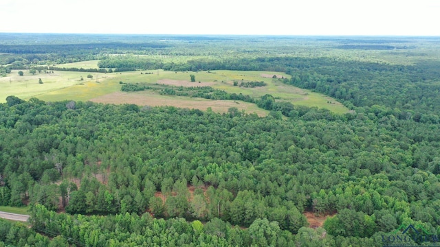 0003 Fm 805, Jefferson, TX 75657 - photo 2